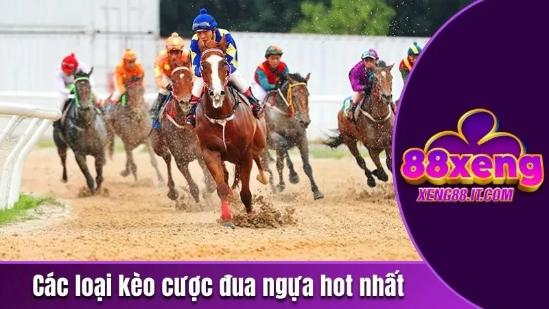 Cá Cược Đua Ngựa - Tham Gia Dễ Dàng, Săn Về Thưởng Khủng 3 Các loại kèo cược đua ngựa hot nhất