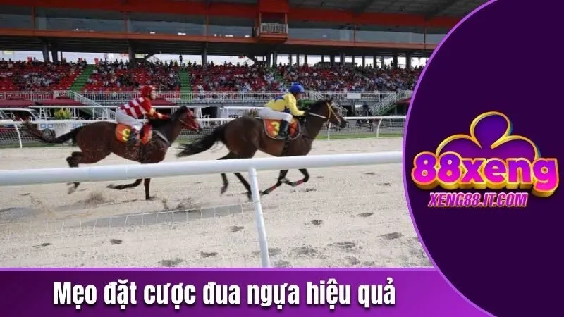 Cá Cược Đua Ngựa - Tham Gia Dễ Dàng, Săn Về Thưởng Khủng 4 Mẹo đặt cược đua ngựa hiệu quả
